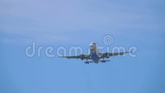 飞机飞过天空飞过棕榈树视频的预览图