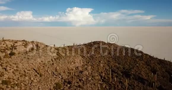 仙人掌岛和盐湖的鸟瞰图视频的预览图