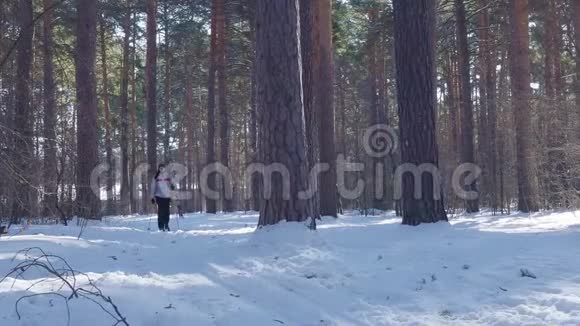 北欧一个女人在森林里滑雪健康的生活方式视频的预览图