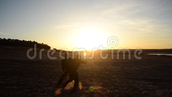春天两个人在沙滩上踢足球两个人在阳光照射下的沙滩上踢足球视频的预览图