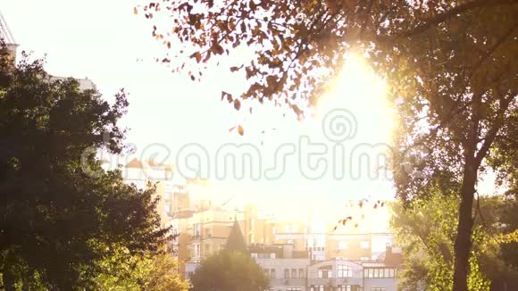 城镇建筑上方阳光明媚视频的预览图