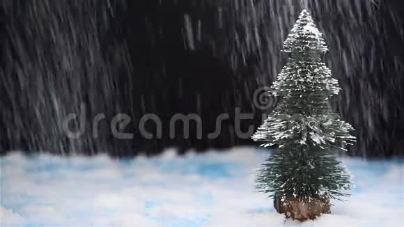 圣诞树和雪的场景视频的预览图