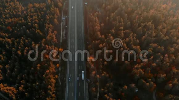 森林环绕的繁忙公路的鸟瞰图视频的预览图