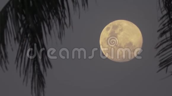 美丽奇幻热带沙滩满月马尔代夫视频视频的预览图