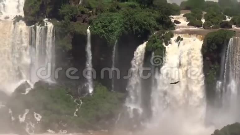 南美洲的瀑布和飞鸟视频的预览图