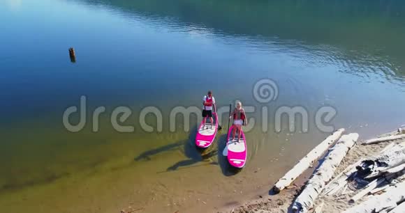 阳光明媚的4k天一对夫妇在河岸边停着桨板视频的预览图