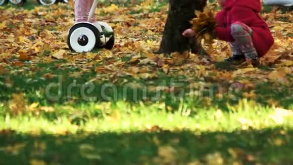骑在落叶覆盖的草地上视频的预览图