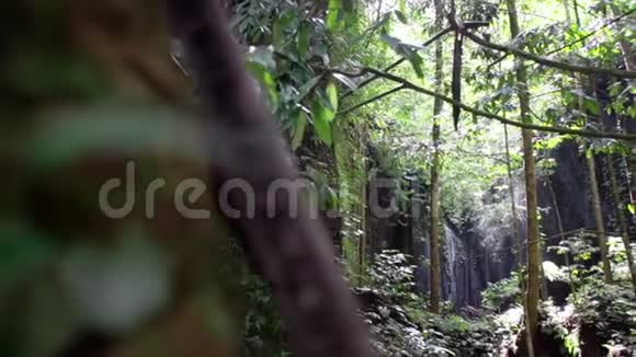 巴厘岛自然瀑布视频的预览图