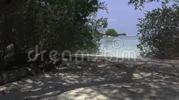 印度洋海岸的海滩和树木马尔代夫视频视频的预览图