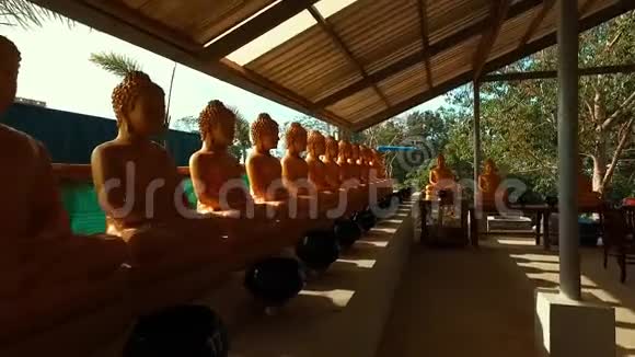寺庙里的许多佛像视频的预览图
