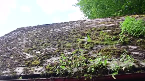 旧屋顶的景色屋顶有苔藓视频的预览图