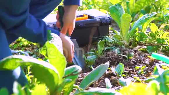 男孩用铲子挖女孩用水桶浇灌年轻的植物视频的预览图