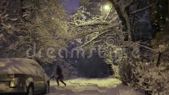 下雪的早晨视频的预览图