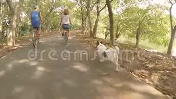 年轻快乐的嬉皮士夫妇骑着老式自行车在公园与狗跑附近和宠物一起骑自行车高清慢动作视频的预览图