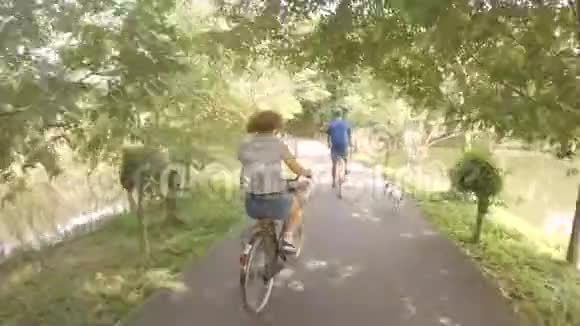 年轻快乐的嬉皮士夫妇在公园里骑自行车附近有狗跑和宠物一起骑自行车高清视频的预览图