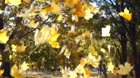 微笑的男孩在公园里扔秋叶视频的预览图
