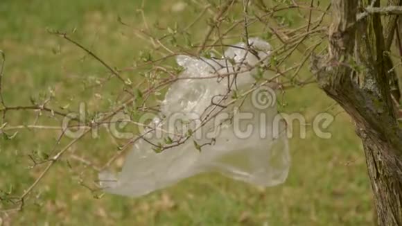 地面塑料的污染塑料废料挂在树枝上随风飘荡环境保护视频的预览图
