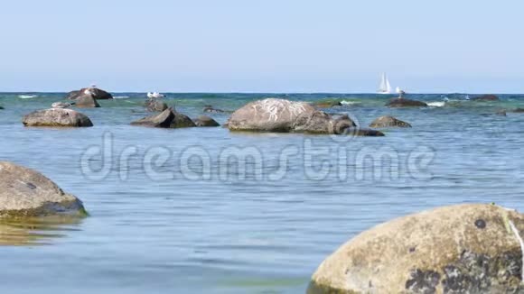 波罗的海靠近维斯比哥特兰岩石上的海鸥视频的预览图
