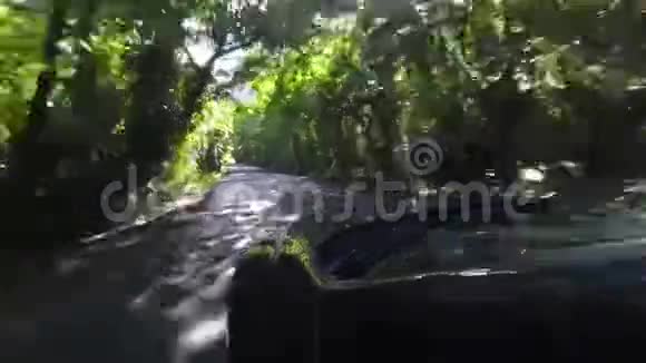 在树林里开车视频的预览图