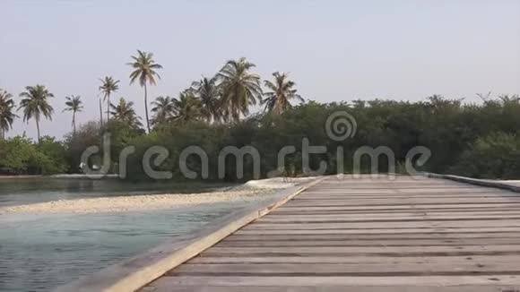 桥和沙滩棕榈树和灌木马尔代夫视频视频的预览图