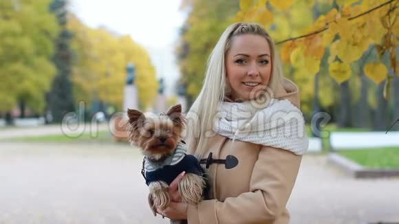带着一只小狗在秋天公园散步的年轻女人视频的预览图