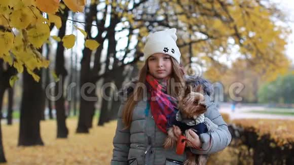 一个十几岁的女孩带着一只小狗在秋天的公园散步视频的预览图