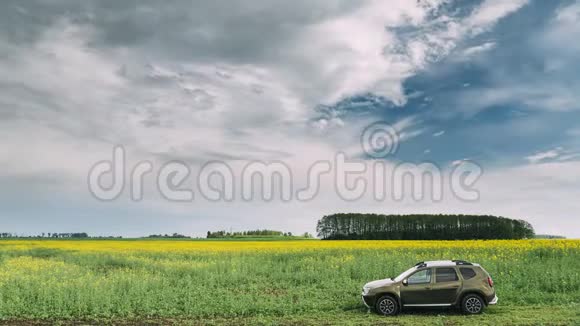 戈梅尔白俄罗斯2019年5月11日雷诺达斯特苏夫在春季油菜田农村景观Duster生产视频的预览图