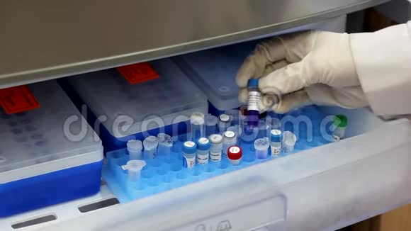 科学家正在用带有反应剂的试管进行PCR反应分析视频的预览图