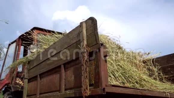 把带叉子的干草装进旧拖拉机的拖车里视频的预览图