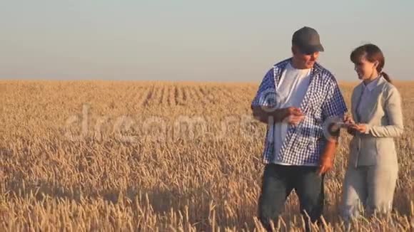 农夫把小麦卖给一个商人商业女性与平板电脑和农民团队在麦田商务视频的预览图