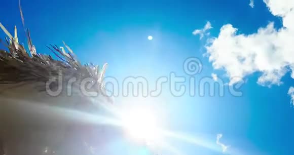 蓝天下的草滩伞风上的慢动作暑假预定视频的预览图