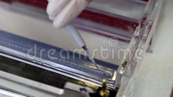 科学家将DNA片段放入琼脂糖凝胶中分离DNA片段进行电泳视频的预览图