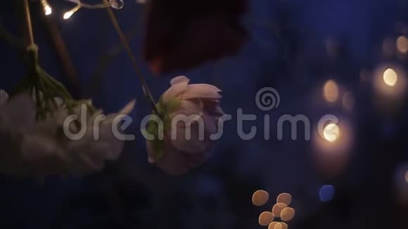 用玫瑰装饰的树的白色树枝点燃蜡烛圣诞节假期视频的预览图