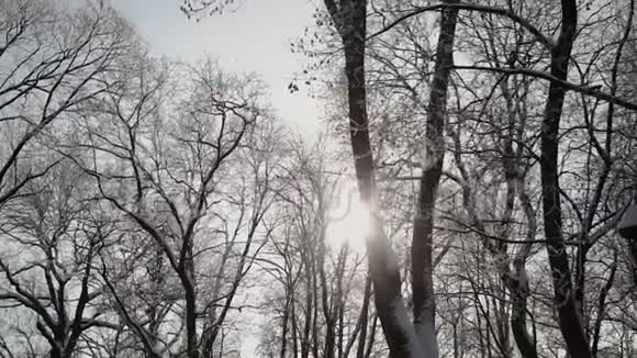 冬天美丽的雪顶视频的预览图