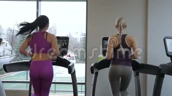 两名女性正在现代体育俱乐部的跑步机上慢跑视频的预览图