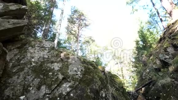 峡谷底部的景色与许多树木在明亮的天空背景录像狭窄峡谷中的巨大岩石与蓝色对抗视频的预览图