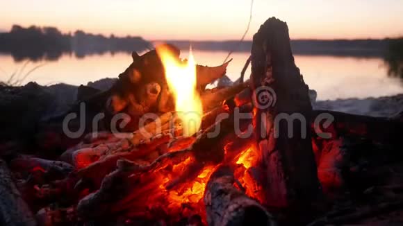 火日落湖黎明视频的预览图