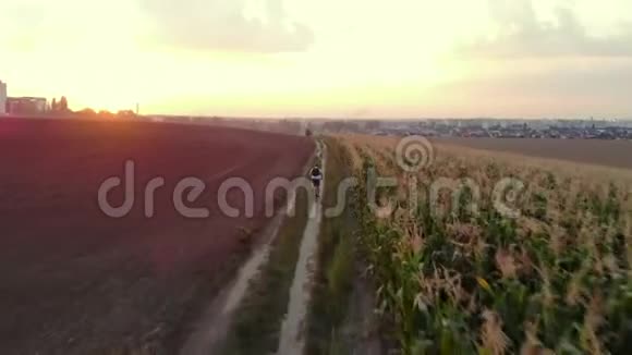 骑自行车的人在路上的田野后景视频的预览图