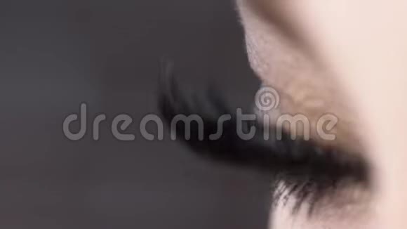 特写在美丽的女性眼睫毛上涂上睫毛膏行动具有超卷曲效应的不可思议的睫毛长度视频的预览图