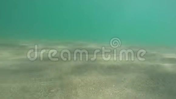 水下游泳沿沙底太阳光束在底部表面发挥光腐蚀性效应视频的预览图