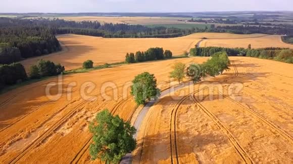 中欧夏季乡村景观视频的预览图