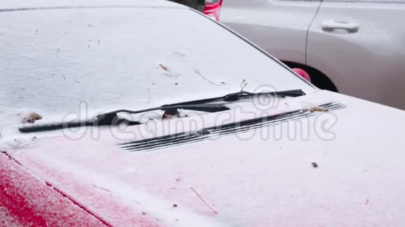 冰冻汽车在冬天覆盖雪查看前窗挡风玻璃和引擎盖视频的预览图
