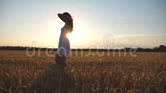 日落时美丽的女孩正沿着蓝天下的麦田散步去草地上的年轻女子夏季休闲视频的预览图