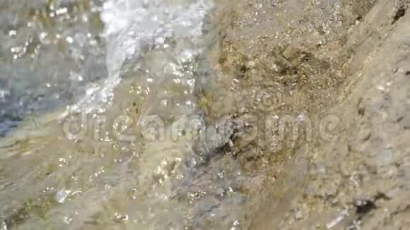 螃蟹坐在海滩上的石头上波浪翻滚视频的预览图
