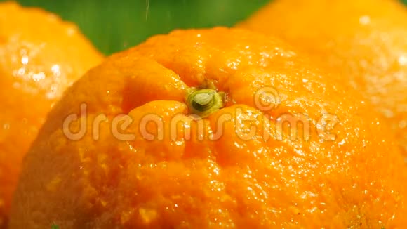水溅在成熟的橘子上慢镜头视频的预览图