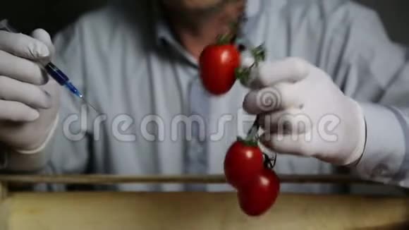 蔬菜化肥和转基因生物的化学加工视频的预览图