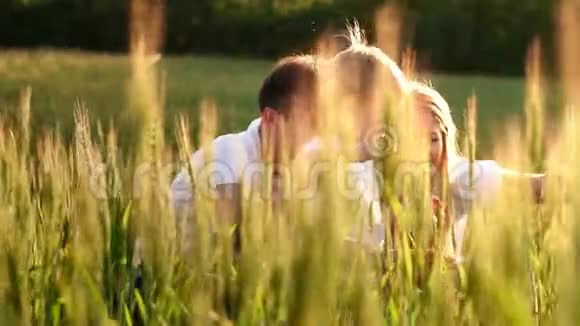 小男孩微笑着坐在田里的麦子里夏日自然漫步户外童年幸福视频的预览图