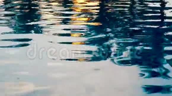 水池水面有波纹视频的预览图
