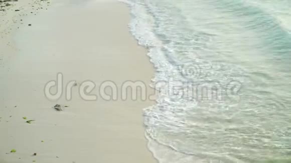 傍晚海浪在沙滩上翻滚视频的预览图
