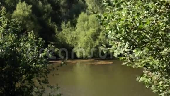 可爱的河景视频的预览图